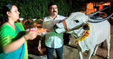 भोर च्या गोकुळात वसुबारस् दिपावली सण उत्साहात साजरी