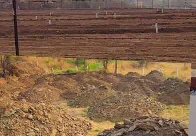 मोरवडीतील अवैद्य मुरूम माती उत्खनन करून प्लॉटिंग करणाऱ्या व्यवसायिकांवर कारवाई कधी